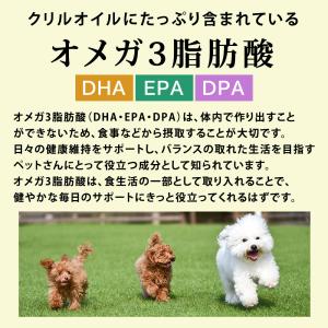 犬用 猫用 サプリメント 関節 腎臓 膝 目 ...の詳細画像5