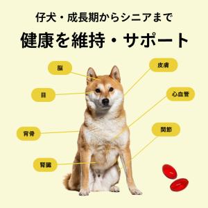 犬 関節 サプリ クリルオイル 30粒 オメガ...の詳細画像5