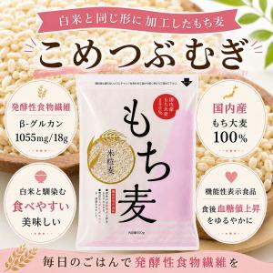 米粒麦 600g×5袋 国内産もち麦100％ 機能性表示食品 大麦β-グルカン 麦ごはん