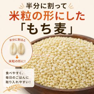 米粒麦 600g×5袋 国内産もち麦100% ...の詳細画像4