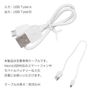 充電ケーブル micro USB 30cm U...の詳細画像1