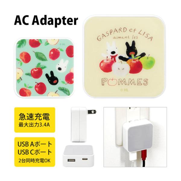 ACアダプター USB タイプC リサとガスパール Aポート Cポート USB充電器 コンセント 差...