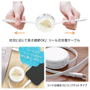 充電ケーブル タイプC Type-C to T...の詳細画像2