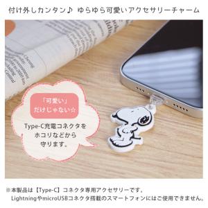 コネクタカバー iPhone Type-C タ...の詳細画像2