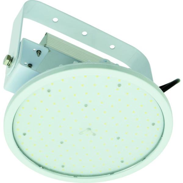 日動工業 NICHIDO ハイディスク100W 吊下げ型 昼白色 110度 L100V2-P-HW-...