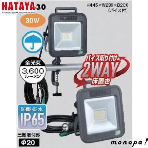 HATAYA（ハタヤ） HATAYA LWK-SSS-M 充電式LED投光器「LWKシリーズ