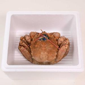 【北海道オホーツク産】毛蟹[550g〜600g]の詳細画像2