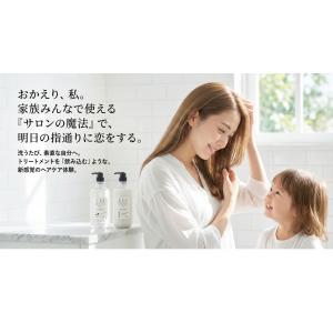 CE3 シャンプー トリートメント セット 1...の詳細画像1