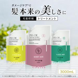 コタ トリート プレミーク ホームケア エアリー 200g 4本 COTA コタ トリート プレミーク ホームケア エアリー 200g【COTA