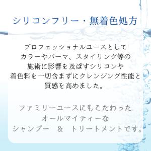 デラクシオ プロ CMC セット 1000mL...の詳細画像2