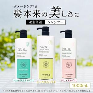 テモイプルームシャンプー 楽天市場】テモイ プルームシャンプー 300ml 美容 美髪 サラサラ