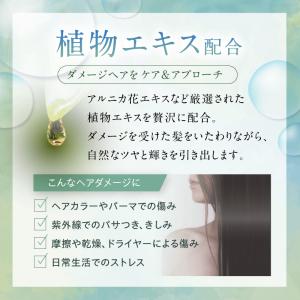 CE3 シャンプー 800ml 弱酸性 詰め替...の詳細画像3
