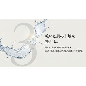 オールインワン ジェル 100g 化粧水 美容...の詳細画像5