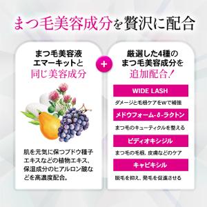 エマーキット マスカラ 水橋保寿堂製薬 正規品...の詳細画像2