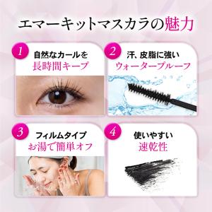 エマーキット マスカラ 水橋保寿堂製薬 正規品...の詳細画像3