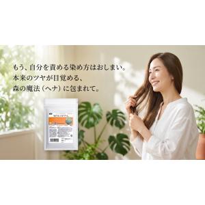 白髪染め ウイング ヘナ 100g オーガニッ...の詳細画像1