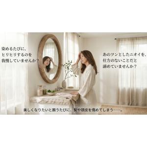 白髪染め ウイング ヘナ 100g オーガニッ...の詳細画像2
