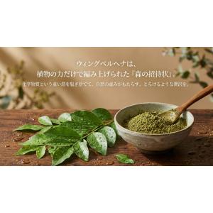 白髪染め ウイング ヘナ 100g オーガニッ...の詳細画像3