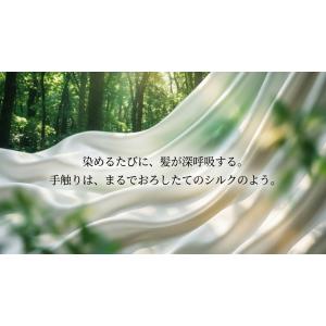 白髪染め ウイング ヘナ 100g オーガニッ...の詳細画像4