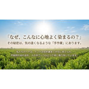 白髪染め ウイング ヘナ 100g オーガニッ...の詳細画像5