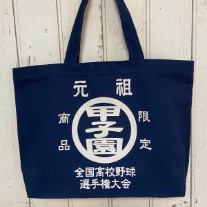 第107回全国高等学校野球選手権大会 スポーツタオル（ピンク