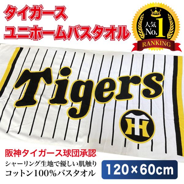 阪神タイガース キャンプ