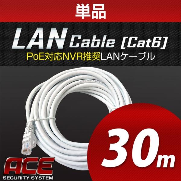 10本セット LANケーブル 30m Cat6 防犯カメラ PoE 監視カメラ