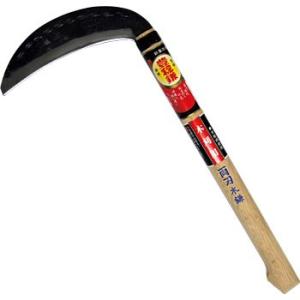 ���n���� �~�R�u�t�� �z�E�l���~�����L H-066