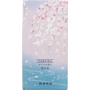 �Ԃӂ��� �� ������ �J�����}