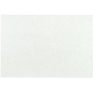 �e�[�u���}�b�g�i�������n�j �单�H�� NO.837