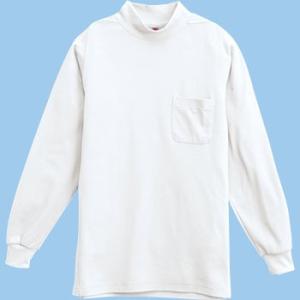 1085 �n�C�l�b�N�i�N�ԗp�j TS DESIGN�iTop Shaleton Sports�j 1085 �z���C�g/4L