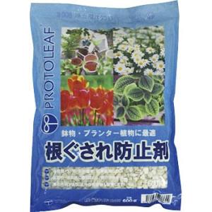 ��������h�~�� �v���g���[�t 600g