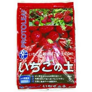 �������̓y �v���g���[�t 5L