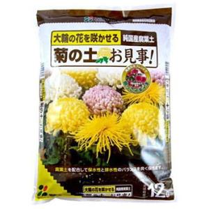 �e�̓y�������I �Ԃ����� 12L