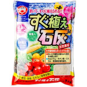 �����A���ΊD �����K�[�f�����C�g 1kg