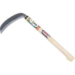 A�����n�؊� �L���{�V 120273