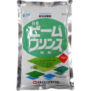 �r�[���v�����X���� ���Y���w