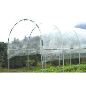 �g�}�L���EJ�p���փr�j�[�� �n�Ӄp�C�v�iSEDIA�j 1836�p