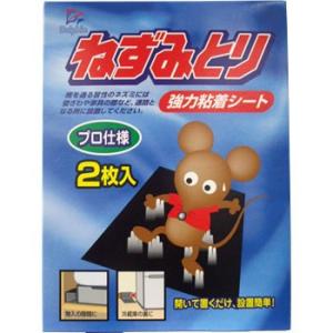 �h���t�B�����͂˂��ݎ�� �O������