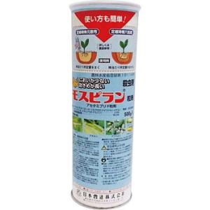 ���X�s�������� ���{���B�i���{�\�[�_�j