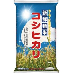 �P ��E�R�V�q�J�� �A�T�q�p�b�N