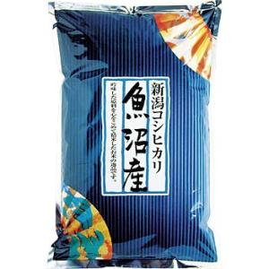 ����E�V�������Y�R�V�q�J�� �A�T�q�p�b�N