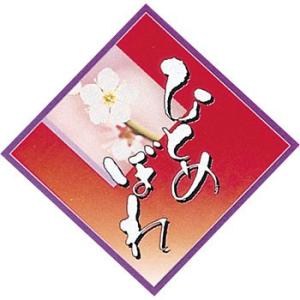 �H�`�V�[�� �A�T�q�p�b�N �ЂƂ߂ڂ�