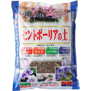 �Z���g�|�[���A�̓y ���������| �] 4L