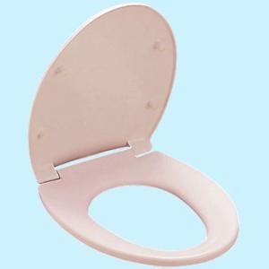 ���ʕ֍��i�O�ۃ^�C�v�j TOTO TC290Y��SR2