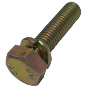 �Z�p�Z���XP=2�i�S/�N�����[�g�j ��㍰ 6�~22