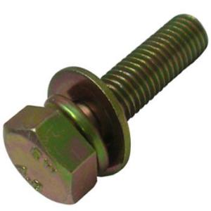 �Z�p�Z���XP=3�i�S/�N�����[�g�j ��㍰ 10�~25