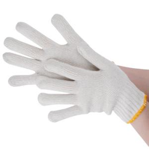 �ȓ����{��R�� 600g �L�i�� 7�Q�[�W ���m�^���E �t���[