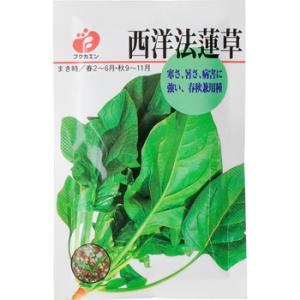 西洋 ほうれん草の商品一覧 通販 Yahoo ショッピング