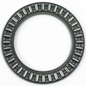 �X���X�g �j�󂱂뎲�� �G�k�e�B�[�G�k�iNTN�j AXK1109